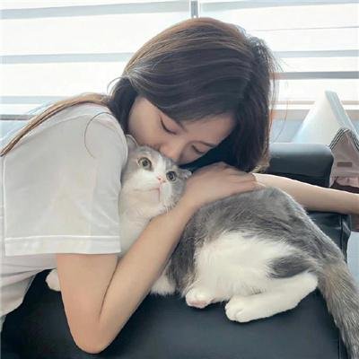情陷撒哈拉
